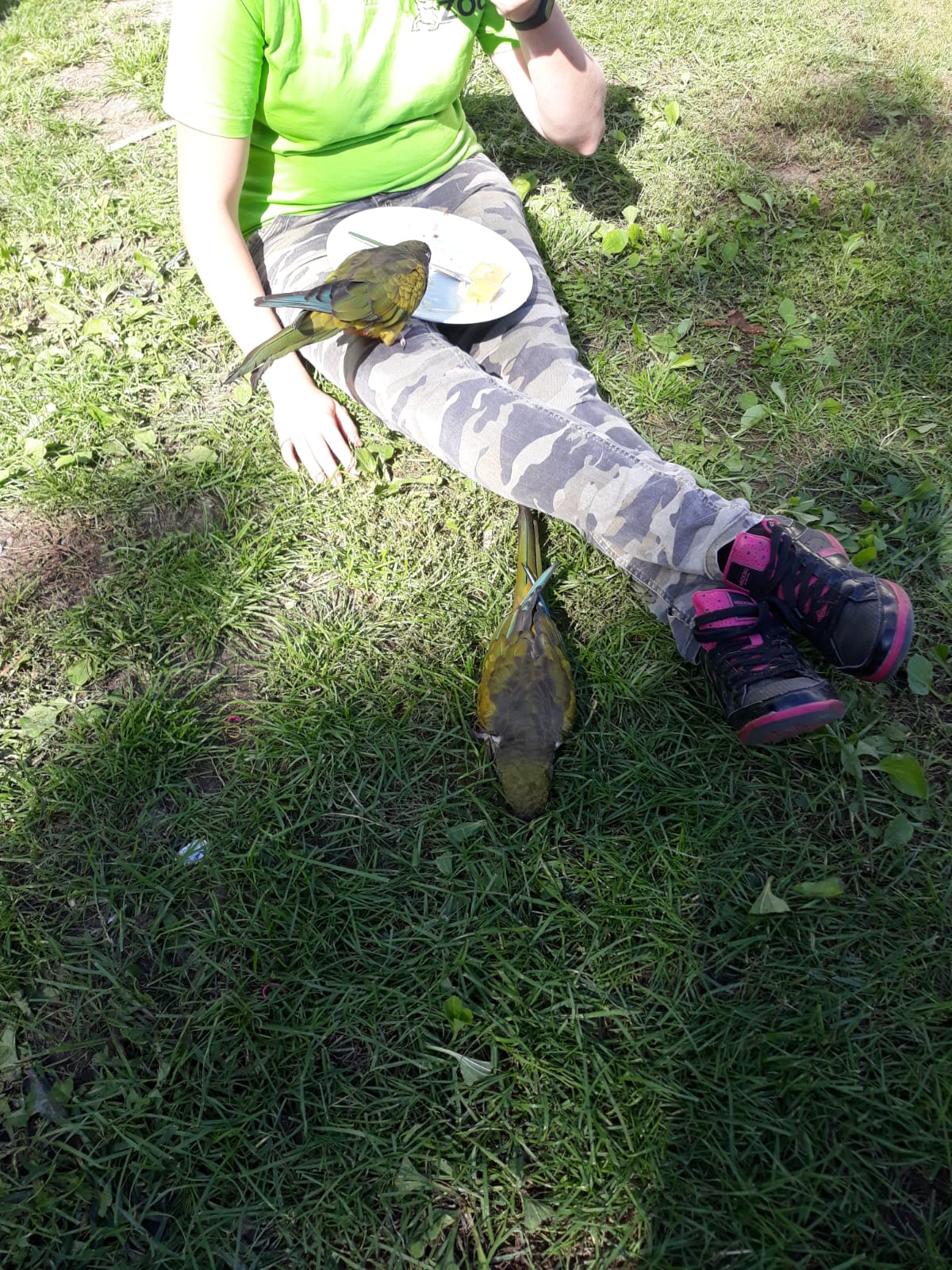 IMG-20190929-WA0011