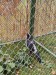 IMG_20230923_123810